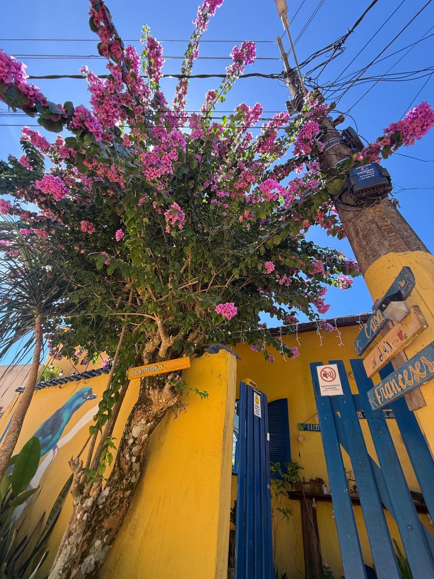 Casa Dos Franceses Guesthouse Ilha Grande מראה חיצוני תמונה