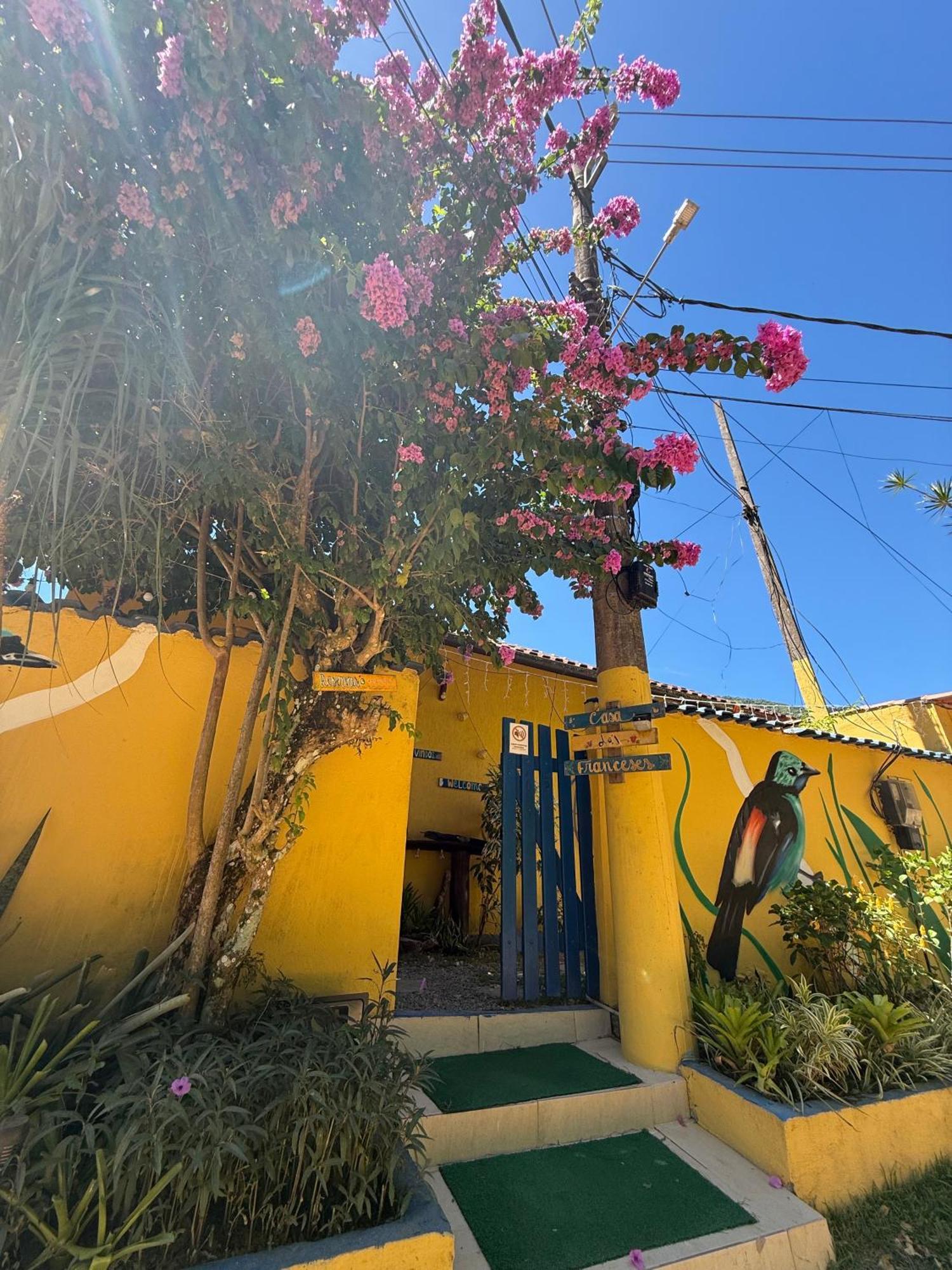 Casa Dos Franceses Guesthouse Ilha Grande מראה חיצוני תמונה